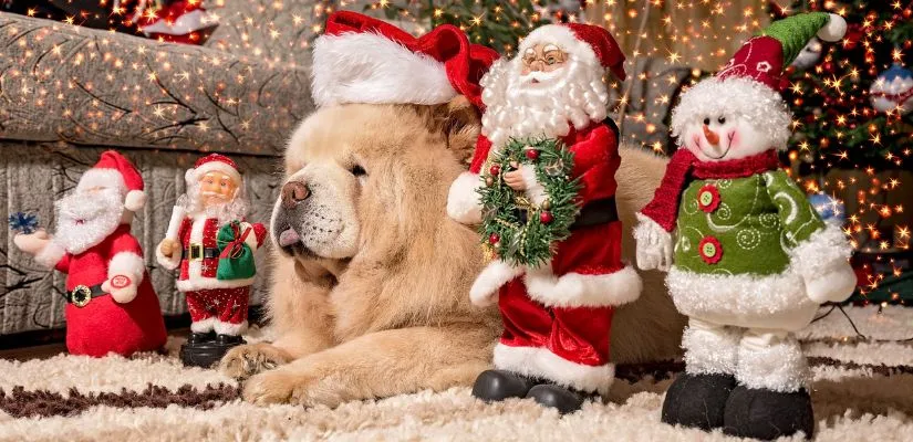 Reasons To Start Preparing For Christmas Early