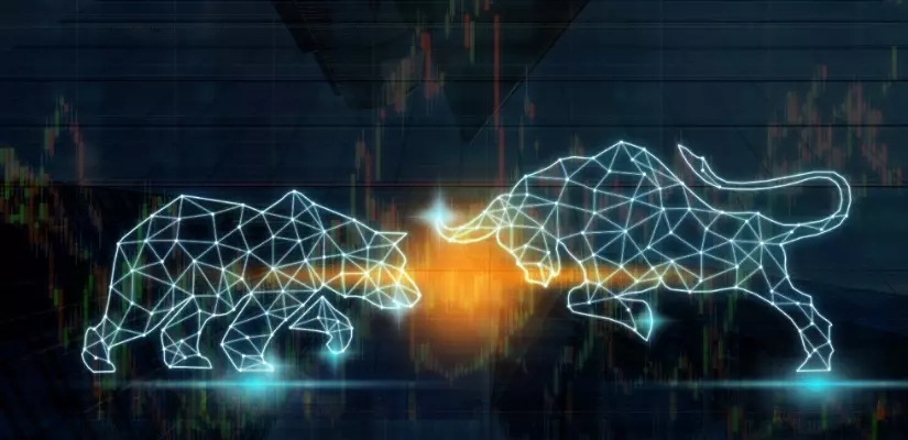 Bull and Bear Markets