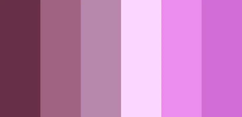 Mauve Palette