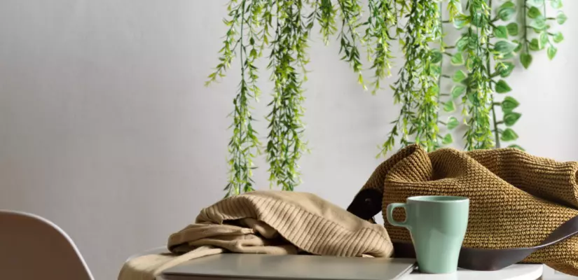 What Is A Biophilic Design