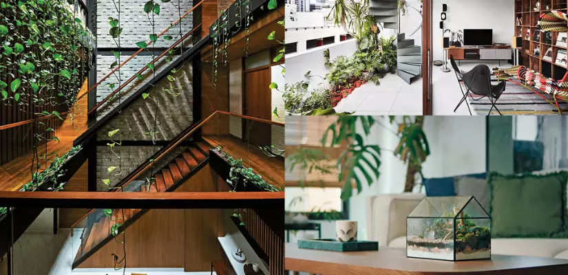 Enhance Your Home With Outdoor Views