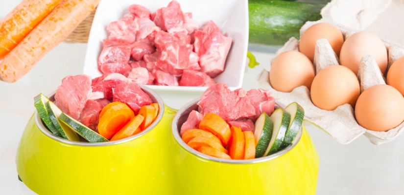 So What Kind Of Food Can We Give Our Pets?