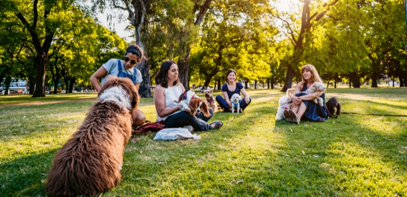 Be Retro - Drive-In Movie