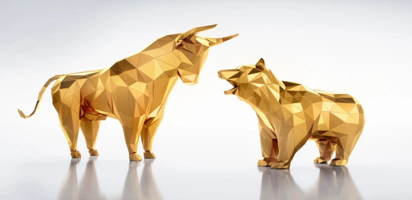 Bull And Bear Market Investments