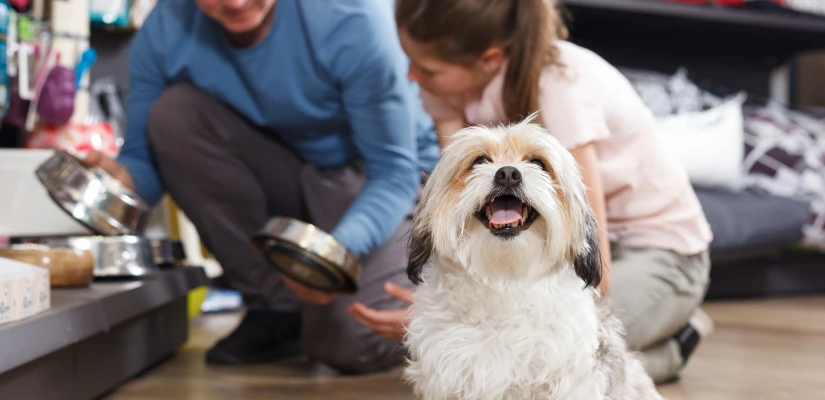 Go To A Local Pet Shop