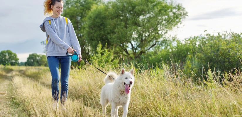 Hit The Hiking Trails