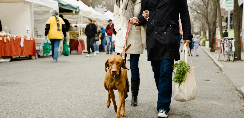 Visit A Farmers Market